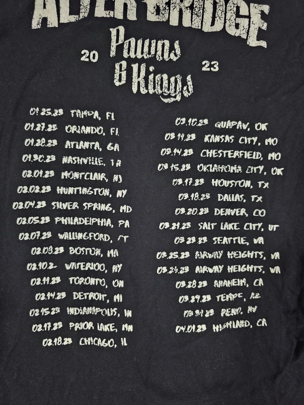 Alterbridge Pawns and Kings tour shirt mens M